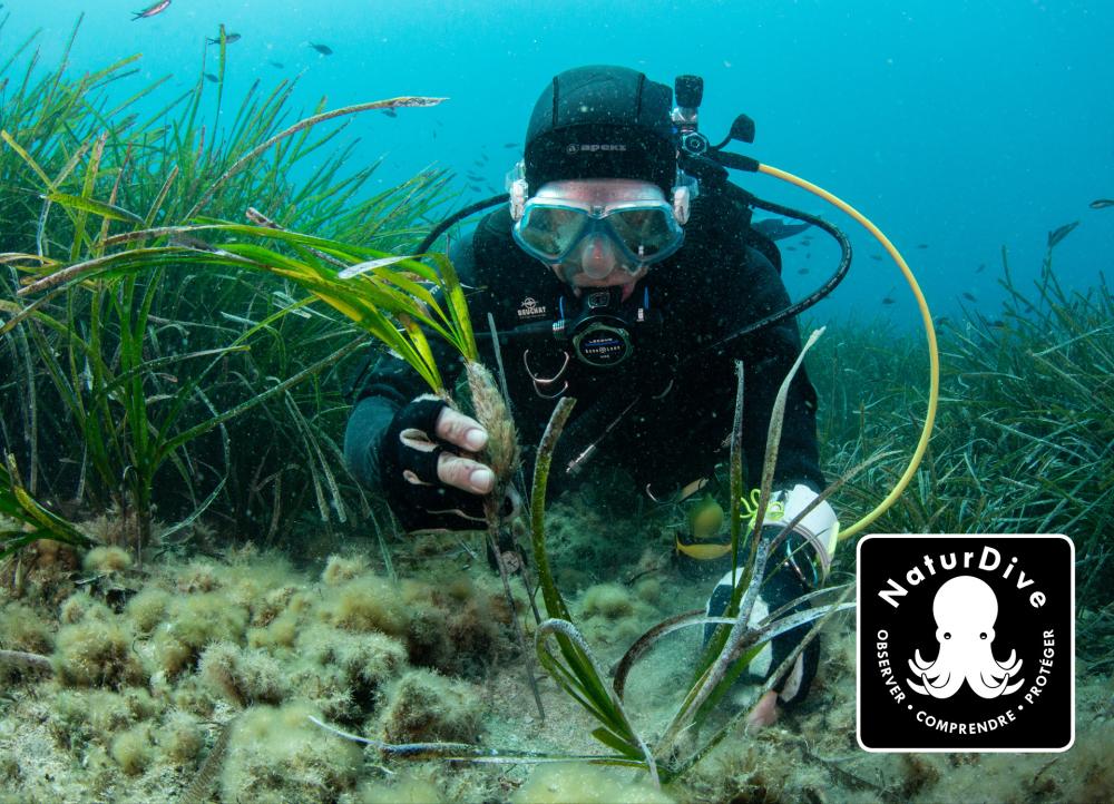 NaturDive, projet PRIME, initiative soutenue par le Fonds AETHER pour les Générations Futures