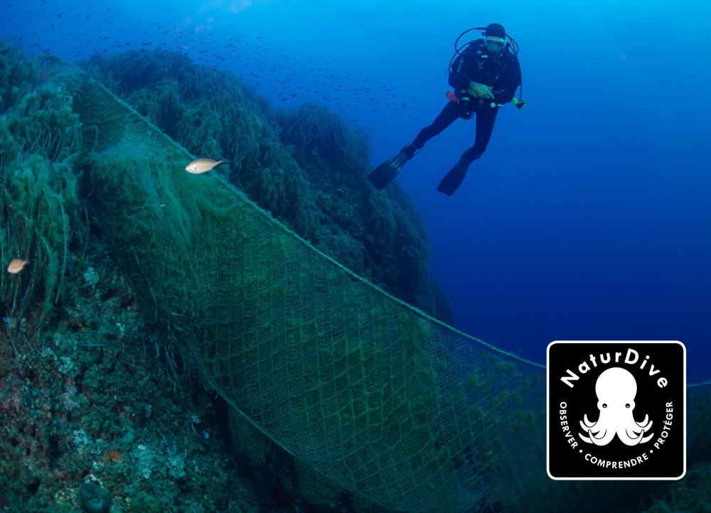 NaturDive, projet DEF-IMED, initiative soutenue par le Fonds AETHER pour les Générations Futures