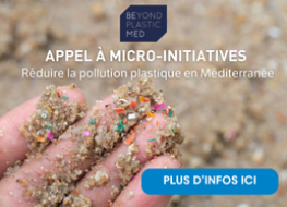 L'appel a micro-initiatives de BeMed