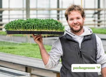 PachaGreens