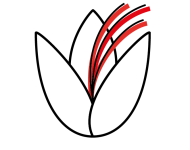 Logo de Pistil