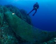 NaturDive, projet DEFIMED, initiative soutenue par le Fonds AETHER pour les Générations Futures