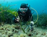 NaturDive, projet PRIME, initiative soutenue par le Fonds AETHER pour les Générations Futures